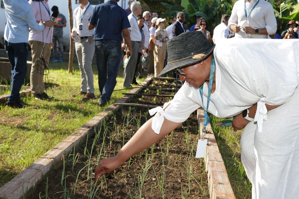 G20 em Teresina: Projetos de agricultura familiar transformam vidas no Piauí